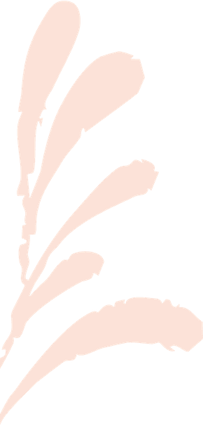 swash